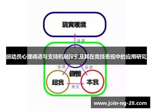 运动员心理调适与支持机制探索及其在竞技表现中的应用研究