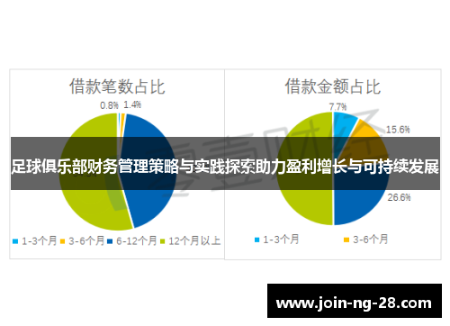 足球俱乐部财务管理策略与实践探索助力盈利增长与可持续发展 足球俱乐部财务管理策略与实践探索助力盈利增长与可持续发展