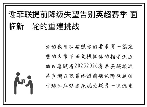 谢菲联提前降级失望告别英超赛季 面临新一轮的重建挑战