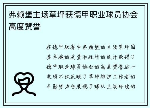 弗赖堡主场草坪获德甲职业球员协会高度赞誉 弗赖堡主场草坪获德甲职业球员协会高度赞誉